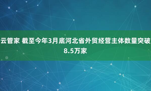 云管家 截至今年3月底河北省外贸经营主体数量突破8.5万家